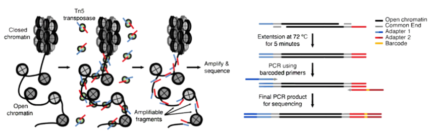 640 (1).png