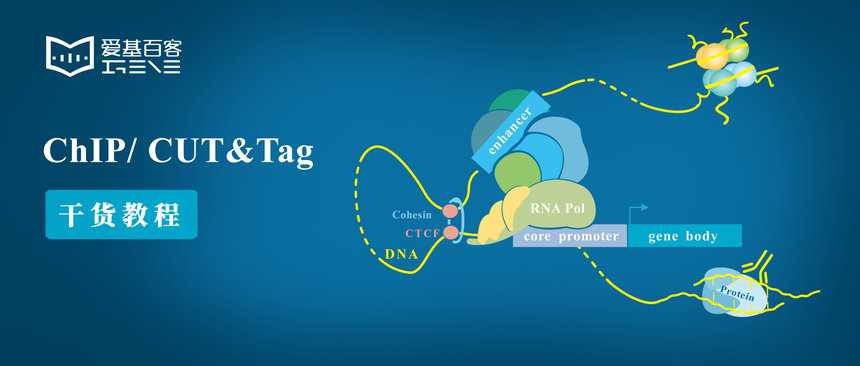 ChIP CUTxTag ̳.png