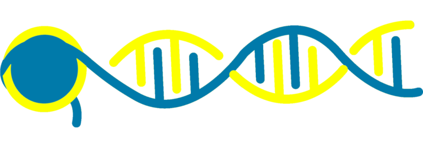 640 (4).png