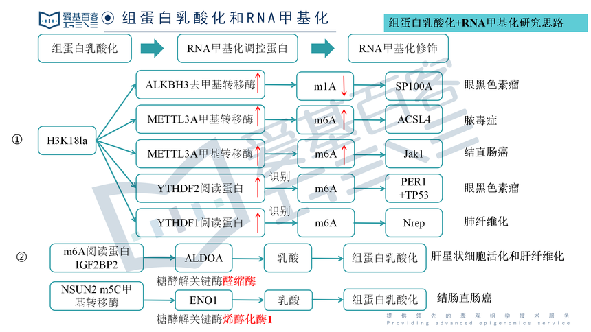 鵰ữо_01(2).png