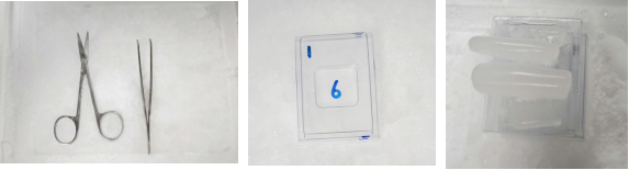 ͼƬ2.png