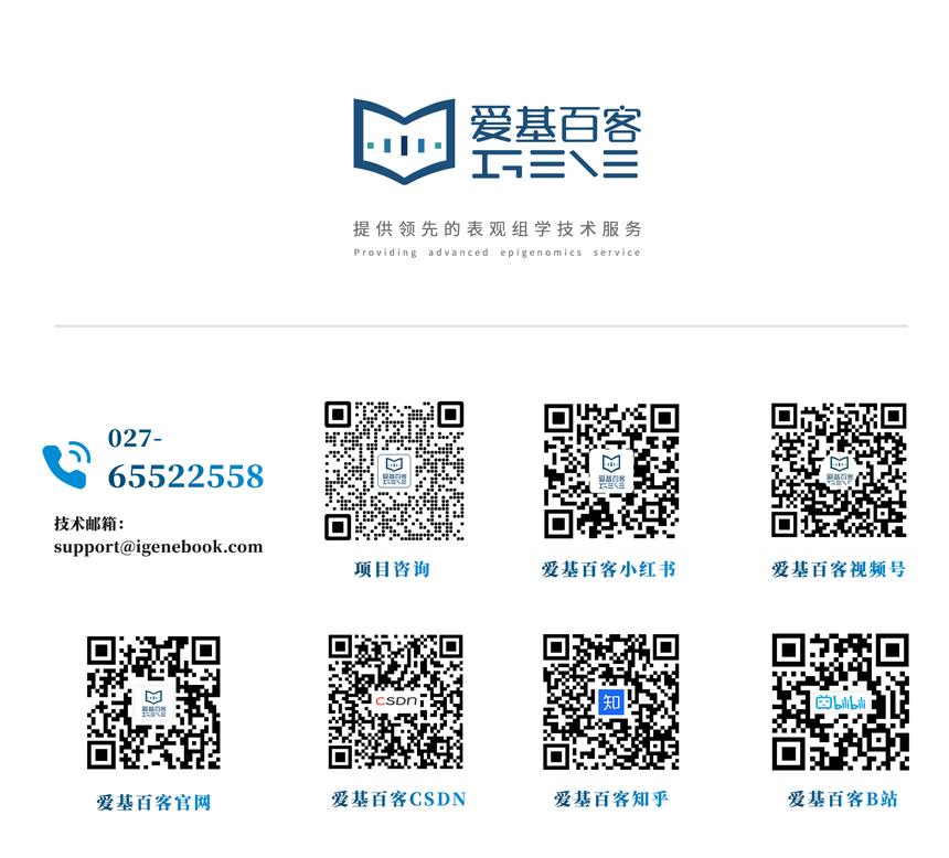 1738735627146434.png 尾巴2.png