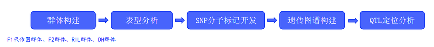 ͼƬ20.png