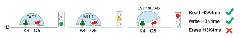 ͼƬ5.png