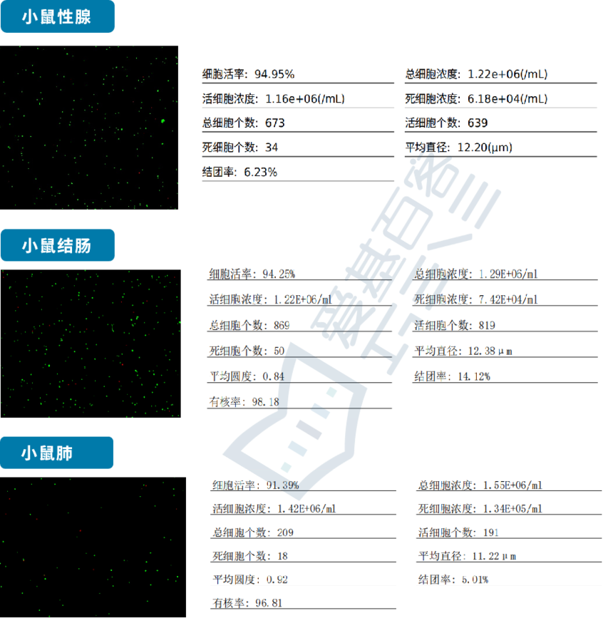 ͼƬ1.png