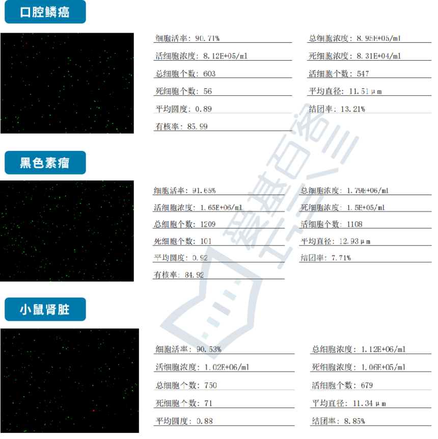 ͼƬ2.png