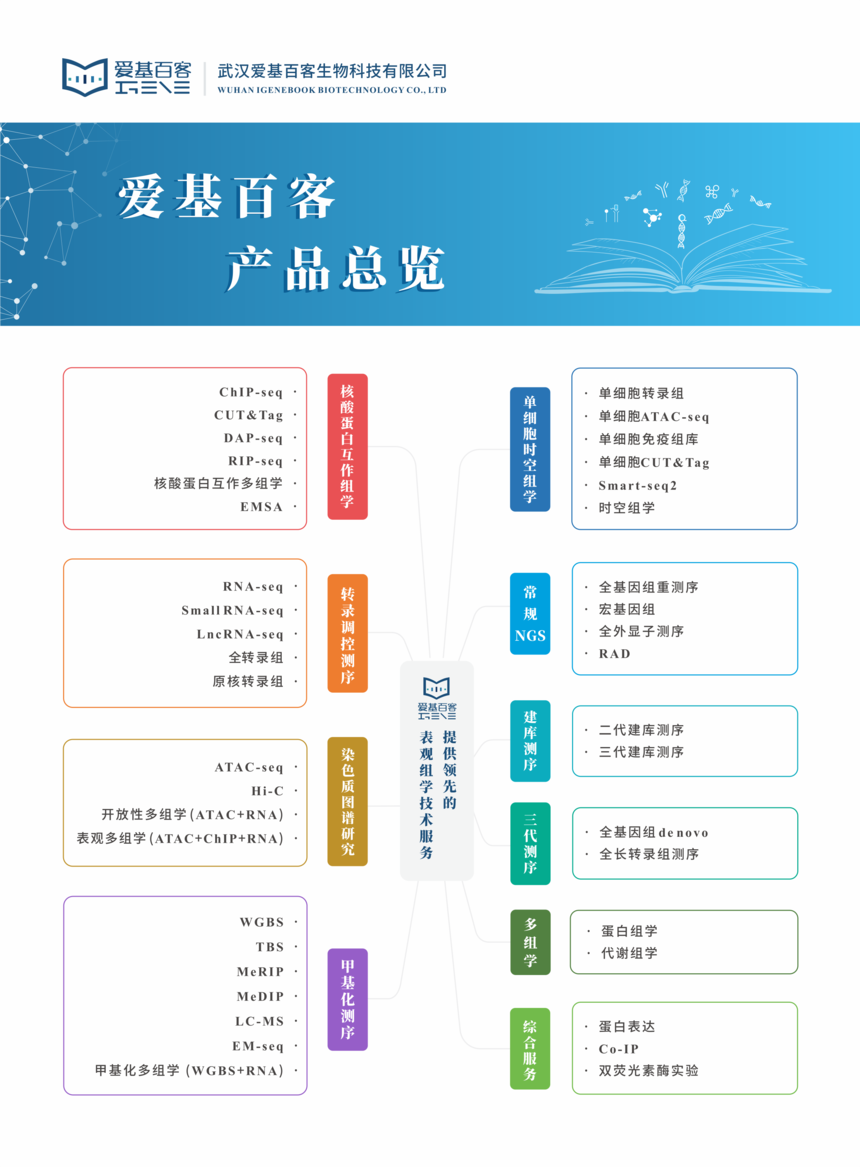 1751867087889244.png 2024.10.28产品总览.png