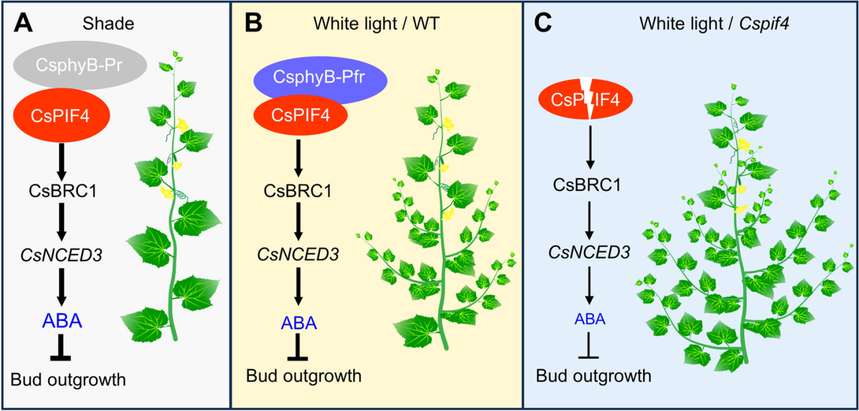 1752544797411635.png 图片2.png