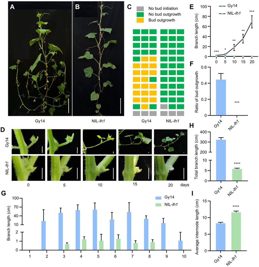 1752544823469753.png 图片4.png