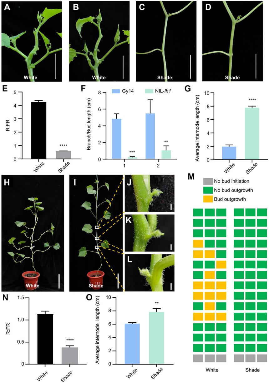 1752544837321378.png 图片5.png