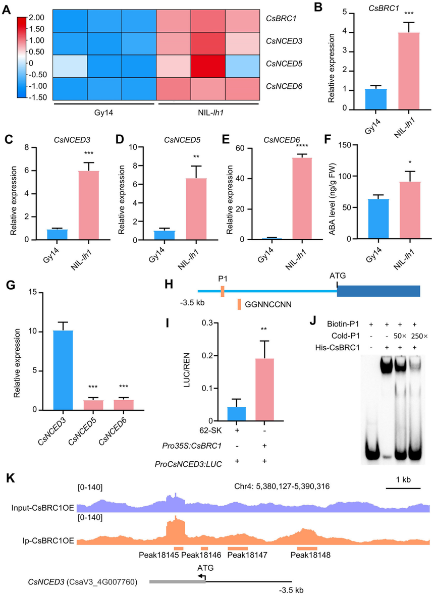 1752544854548593.png 图片6.png