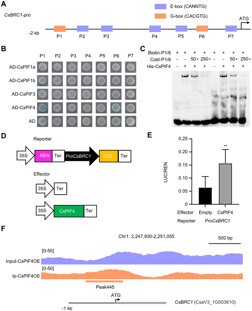 1752544875514842.png 图片7.png