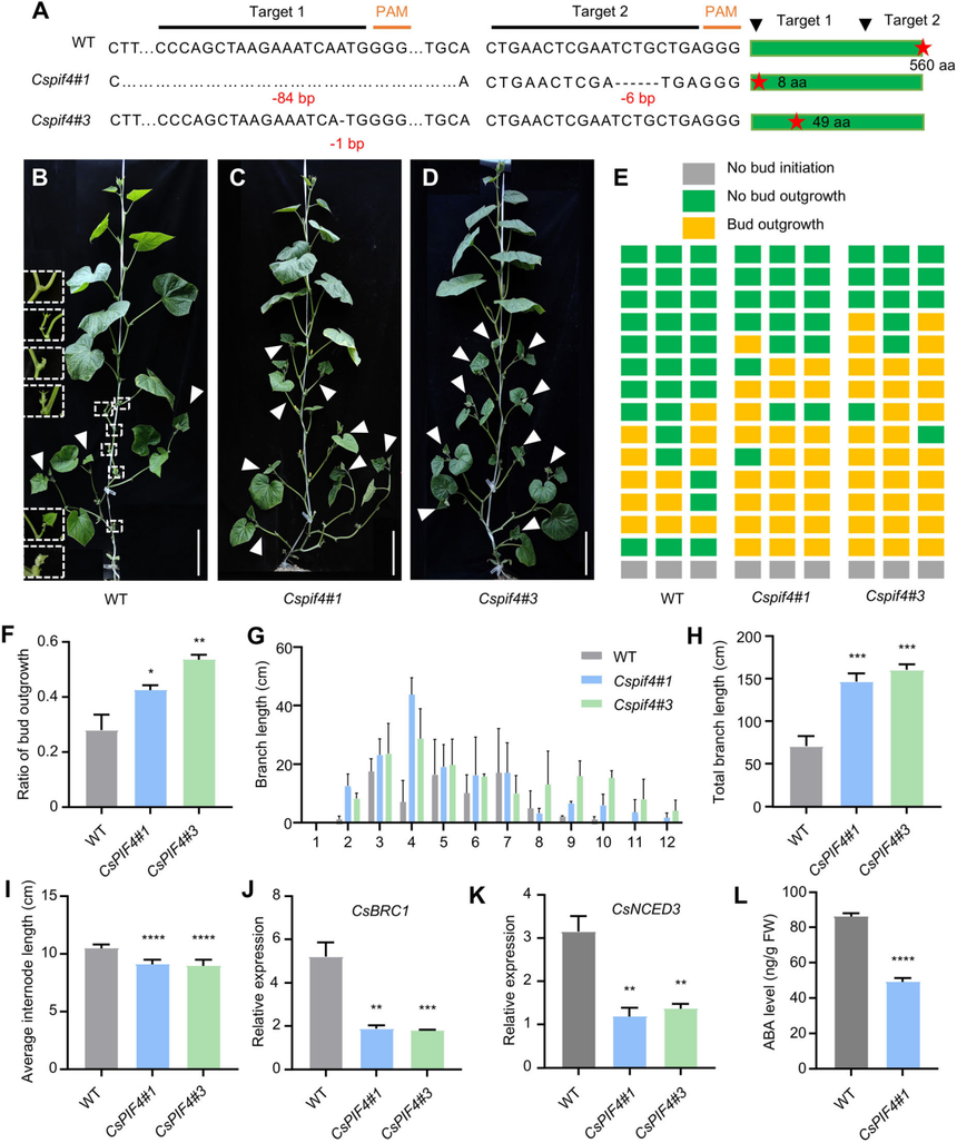 1752544890250986.png 图片8.png