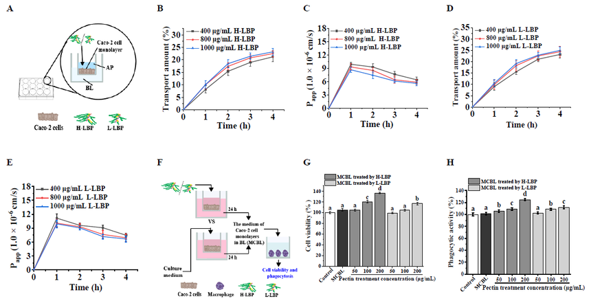 1752546777831975.png 图片4.png