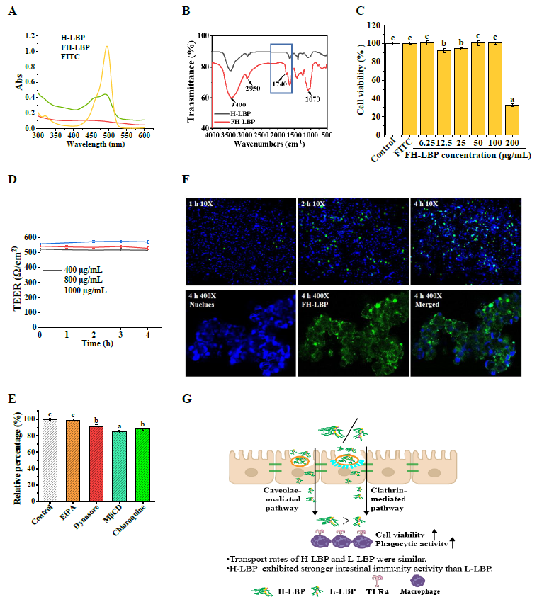 1752546797977632.png 图片5.png