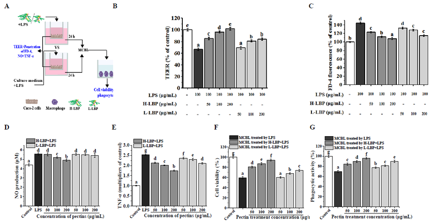 1752546811572332.png 图片6.png