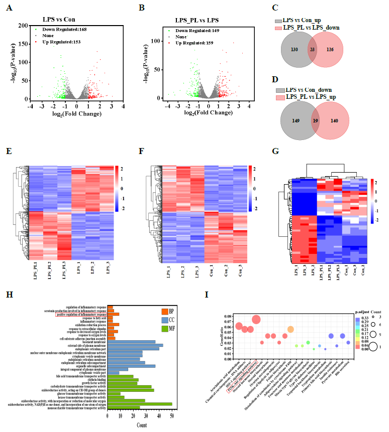 1752546821356834.png 图片7.png