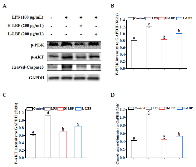 1752546832547203.png 图片8.png