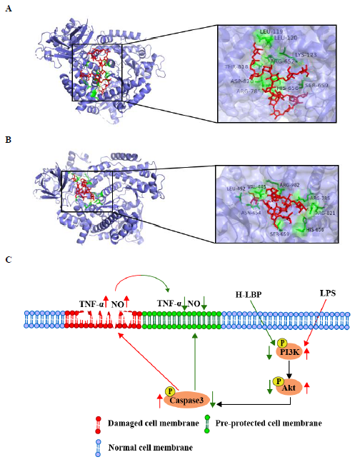 1752546882330402.png 图片9.png