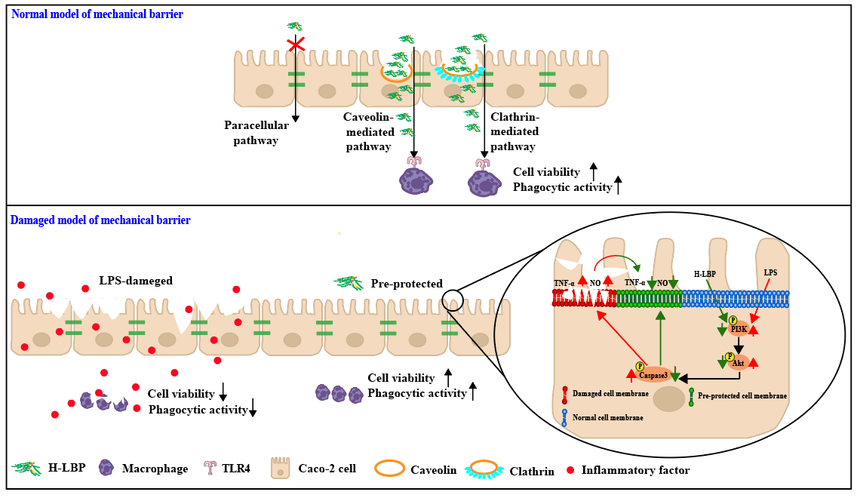 1752547034763692.png 图片10.png