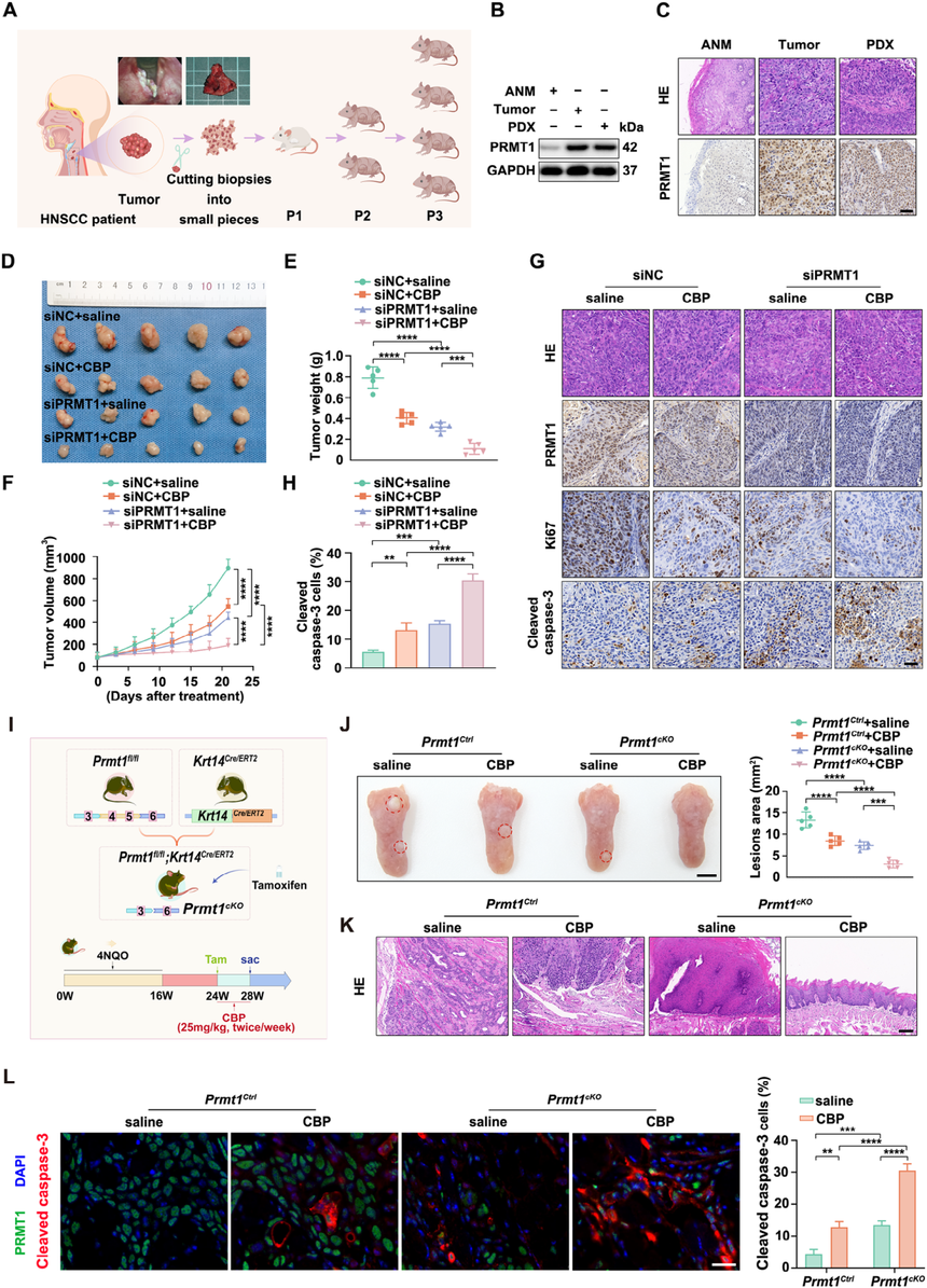 1752547770975272.png 图片3.png