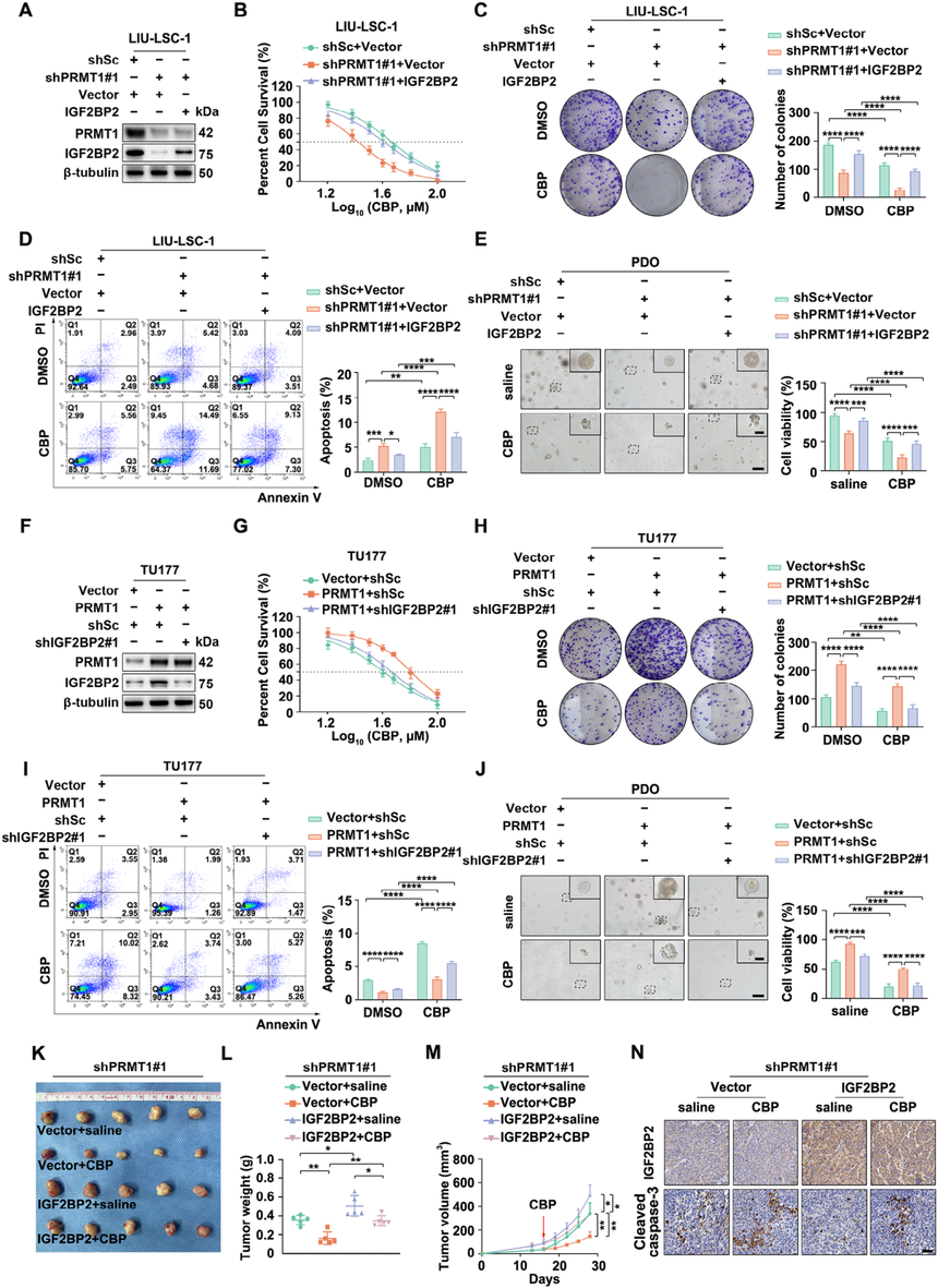 1752547803227655.png 图片5.png