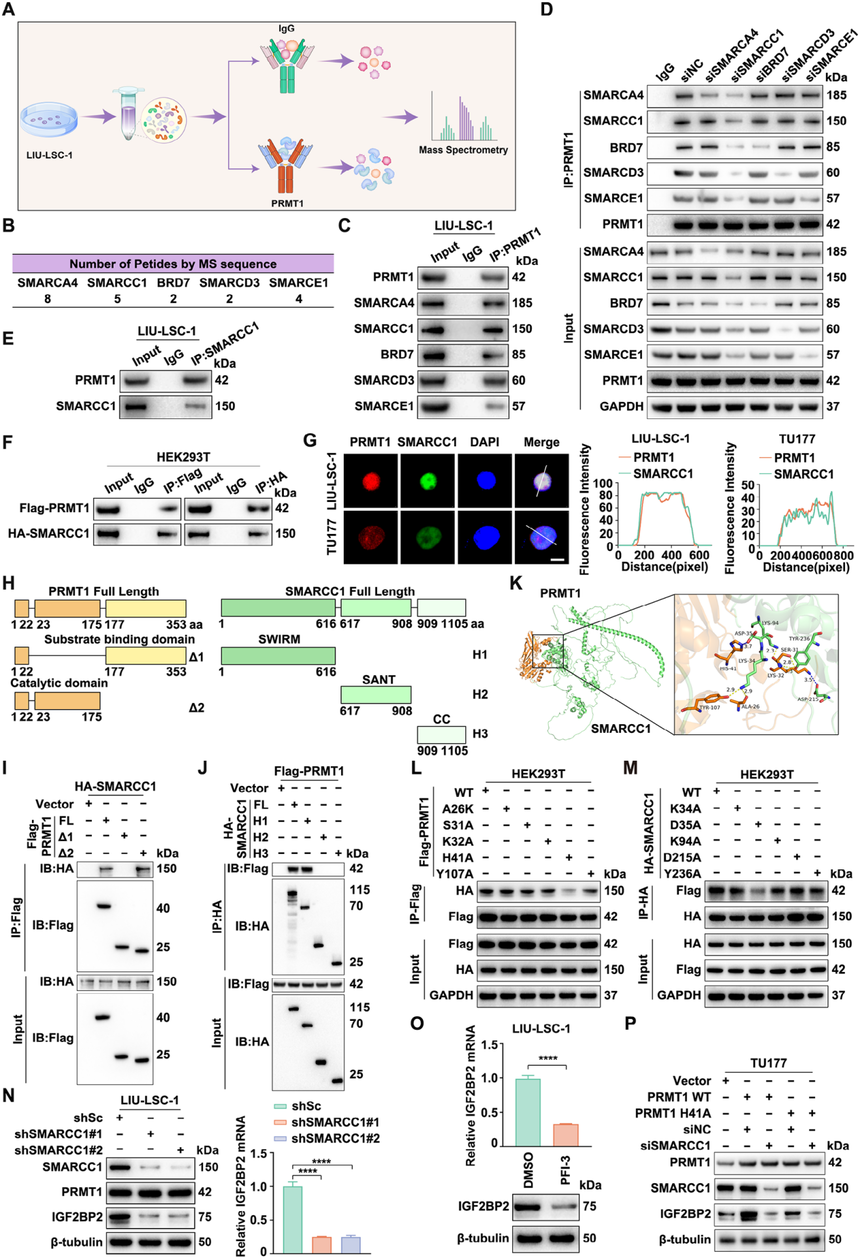 1752547819463053.png 图片6.png