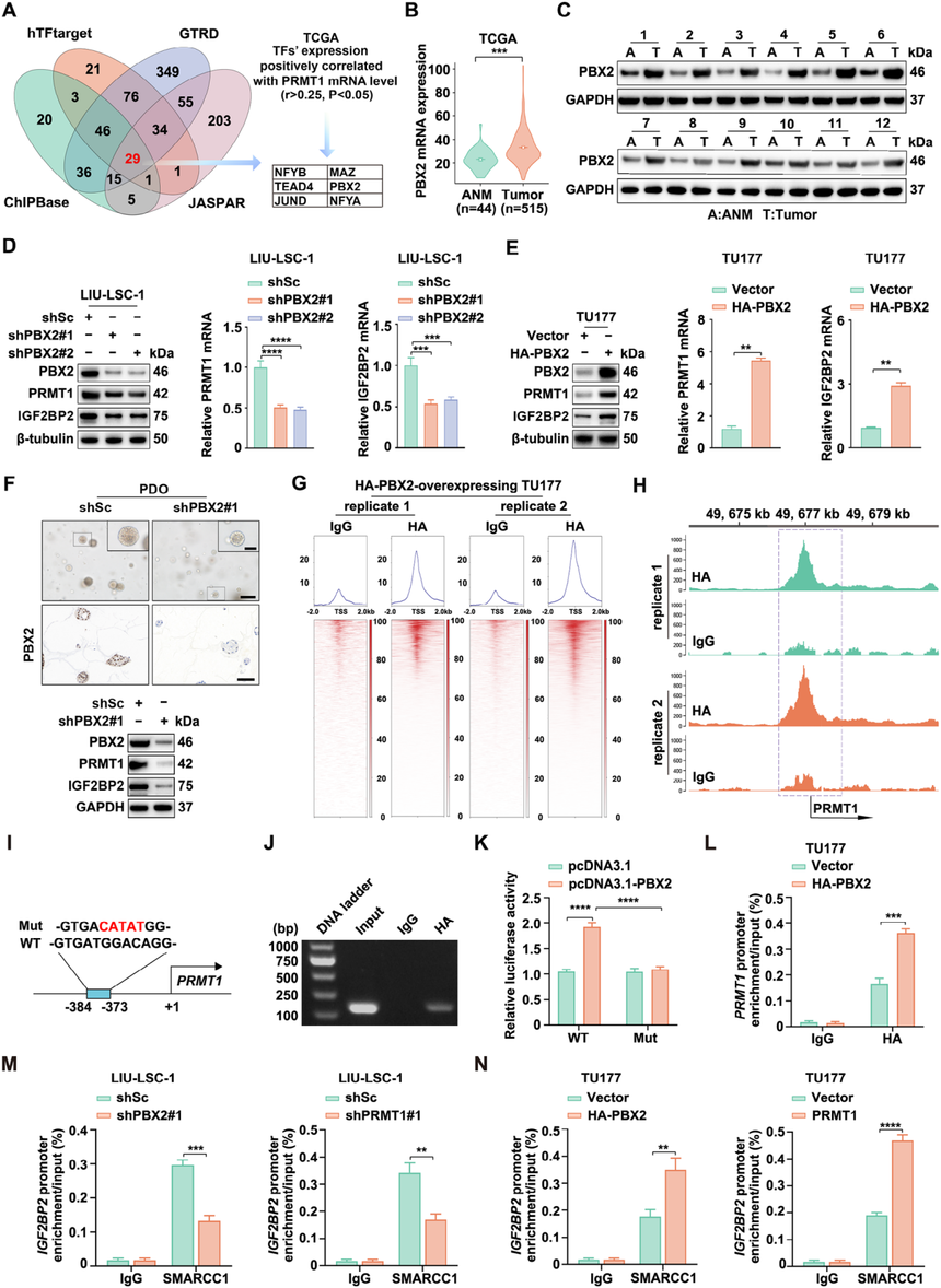 1752547834388817.png 图片7.png