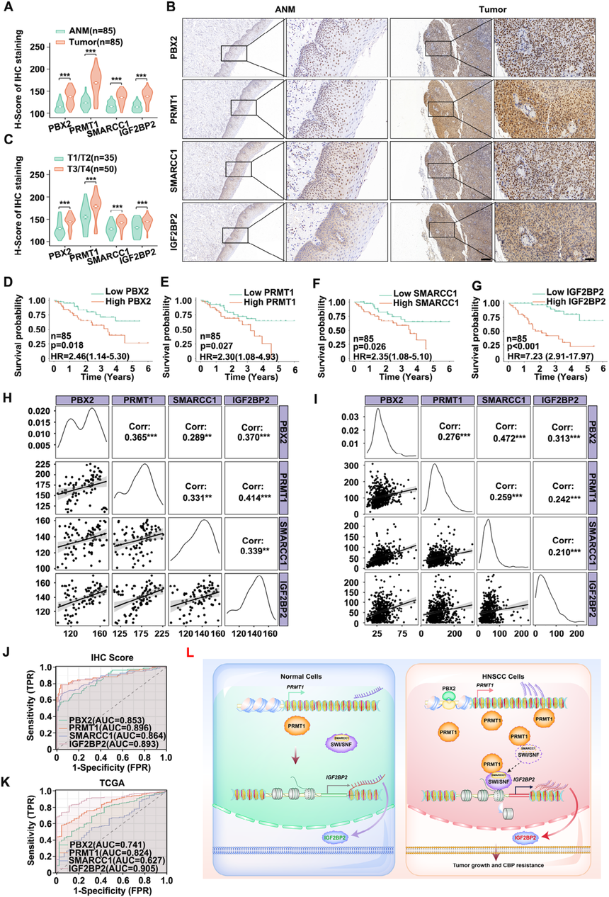 1752547854562256.png 图片8.png