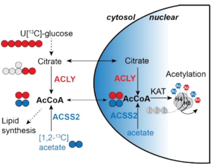 1752823374486124.png 图片2.png