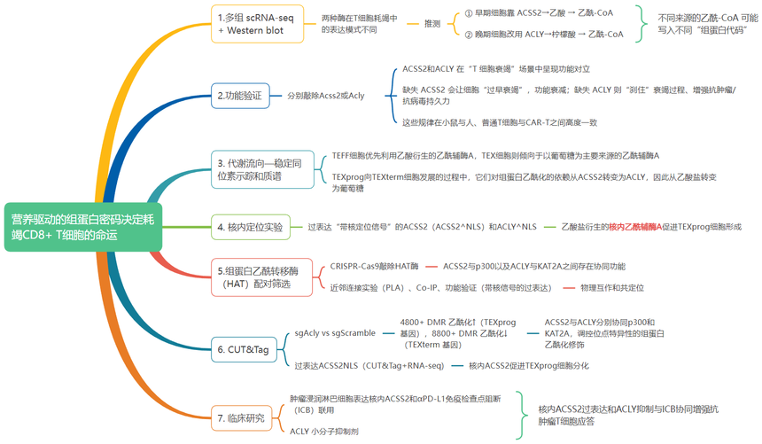 1752823384562977.png 图片3.png