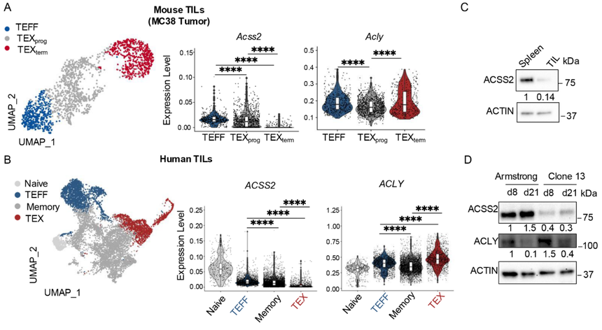 1752823411941642.png 图片4.png