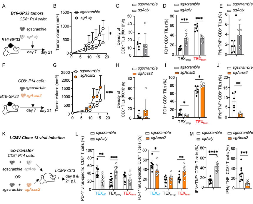 1752823432123457.png 图片5.png