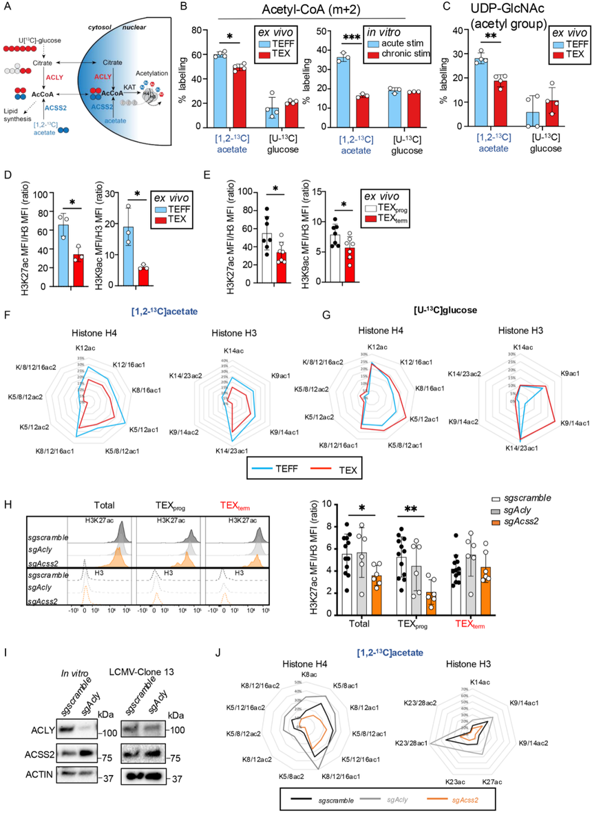 1752823476424296.png 图片6.png
