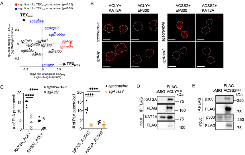 1752823534374484.png 图片7.png