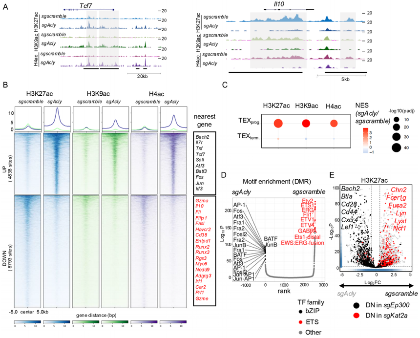 1752823566850092.png 图片8.png