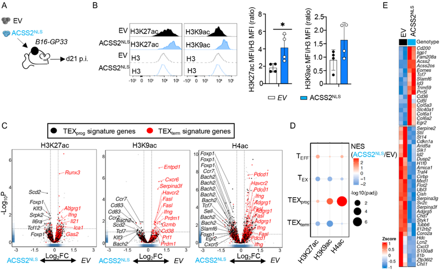 1752823585471434.png 图片9.png