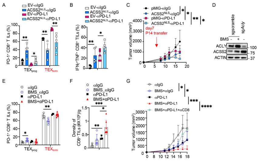 1752823611368935.png 图片10.png