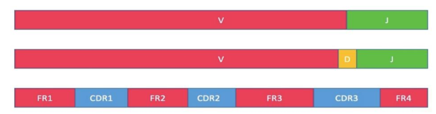 1753263007353759.png 图片2.png