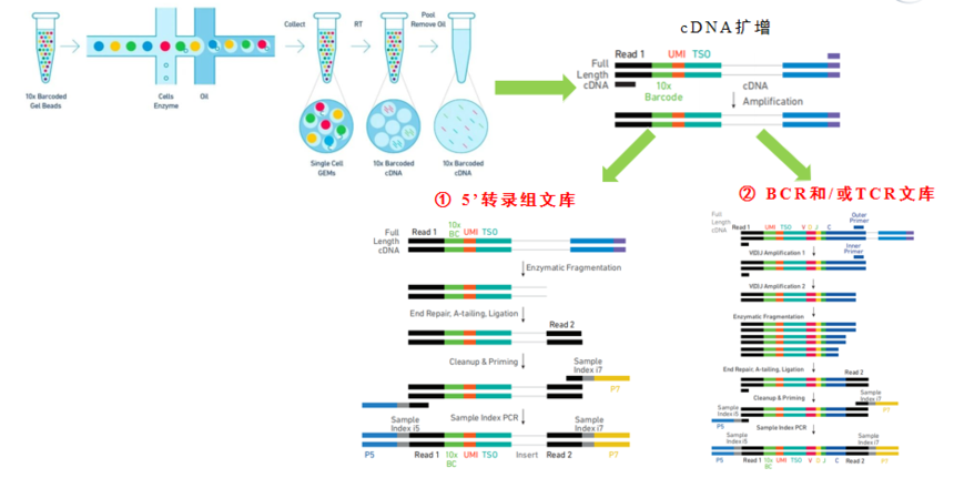 1753263052696881.png 图片4.png