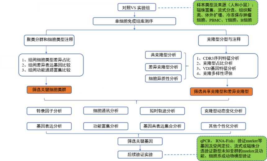 1753263089324924.png 图片5.png