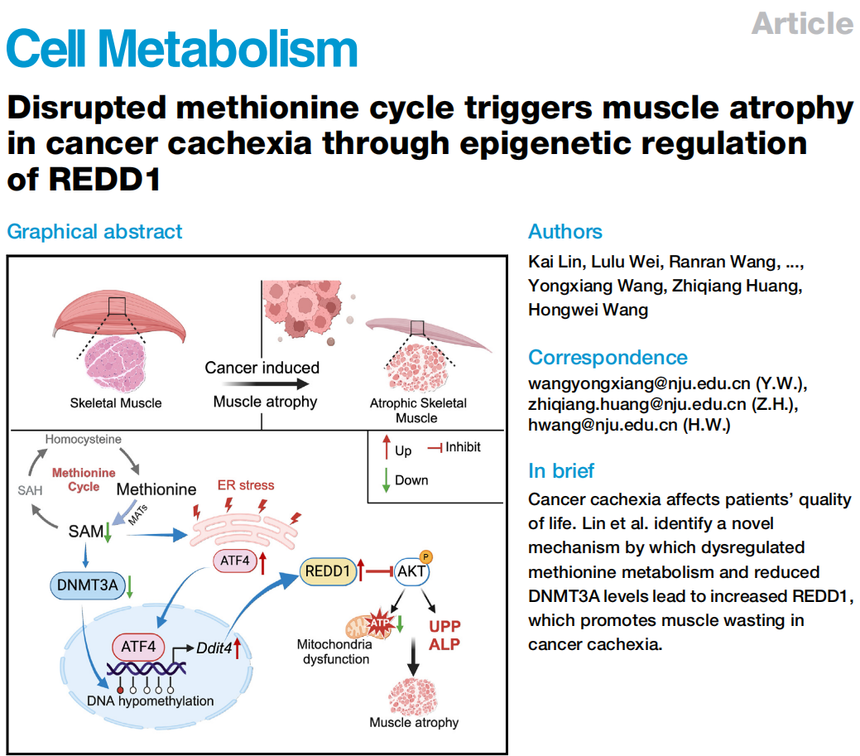 1753263974587101.png 图片1.png