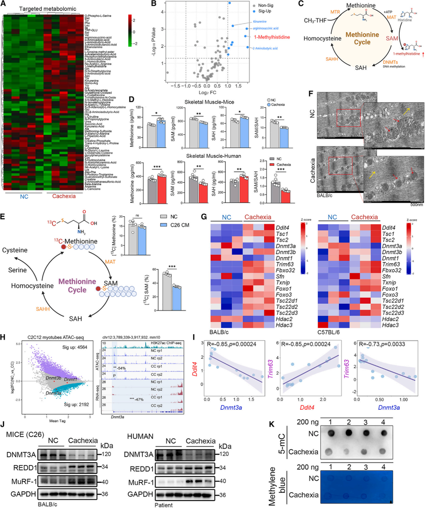 1753264006246253.png 图片3.png