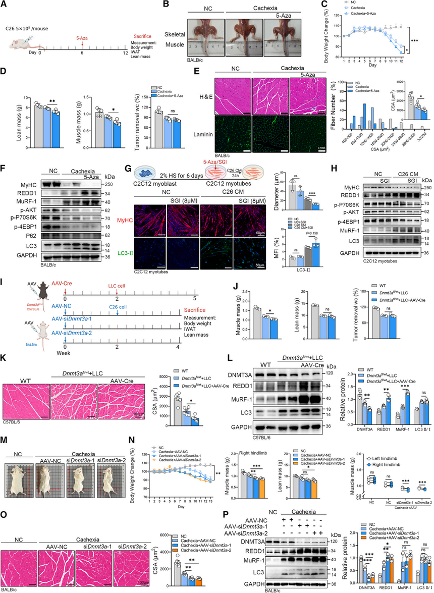 1753264066171240.png 图片5.png