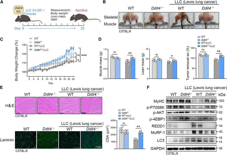 1753264082994218.png 图片6.png