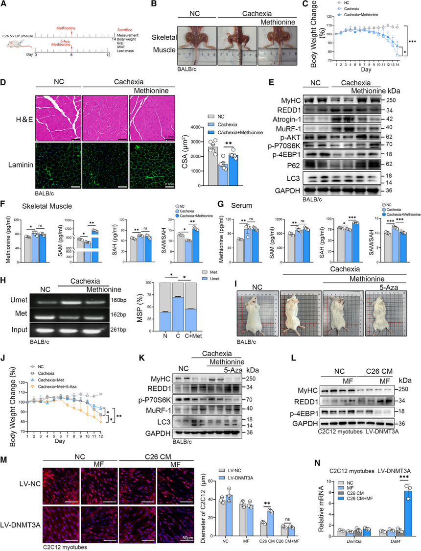 1753264111973802.png 图片8.png