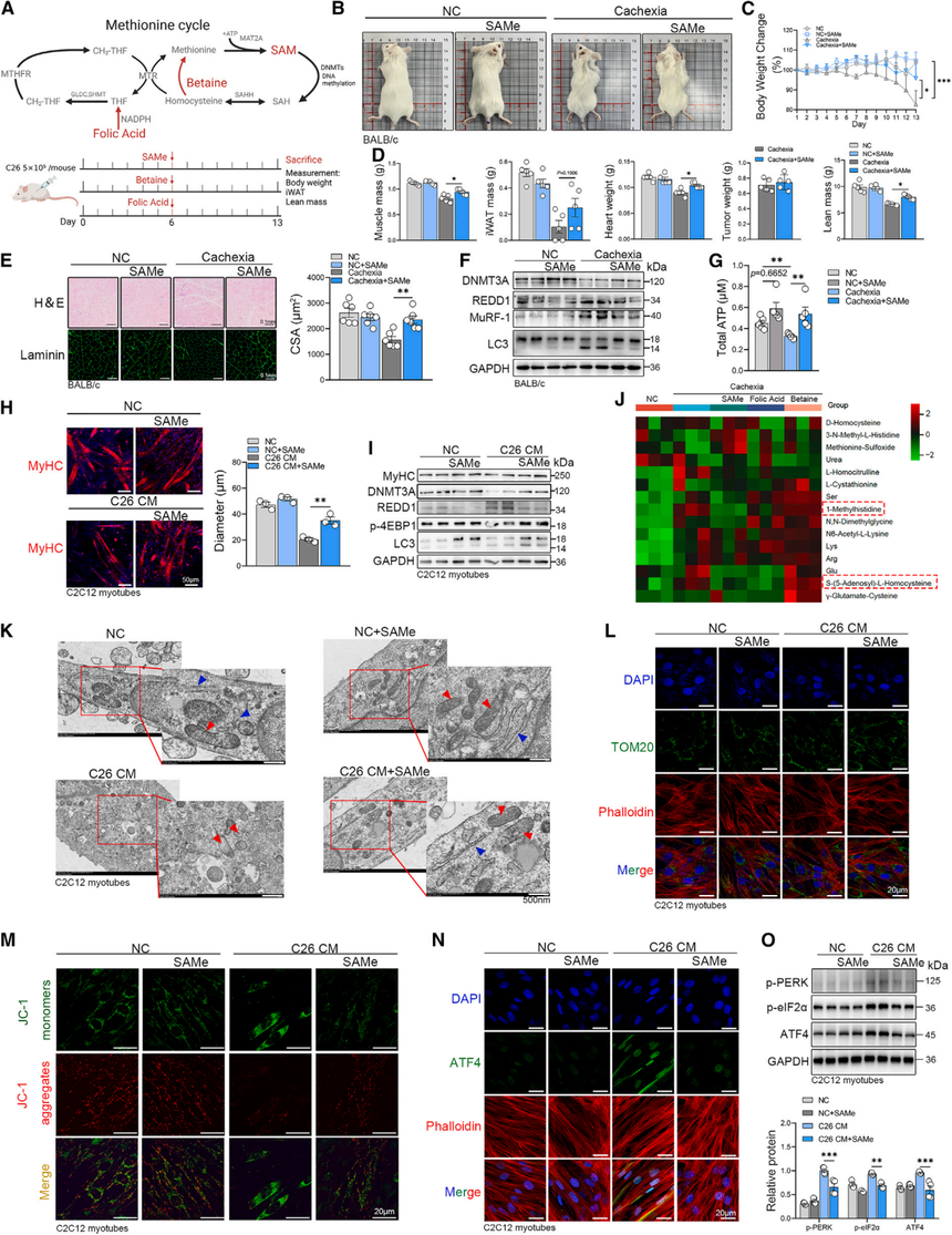 1753264123505023.png 图片9.png