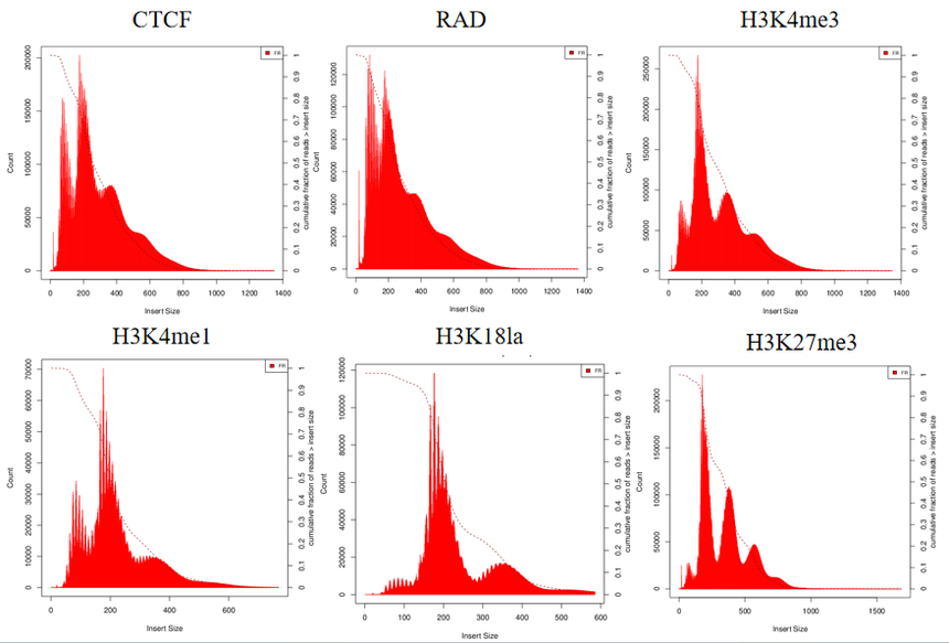 1754040644735161.png 640 (2).png