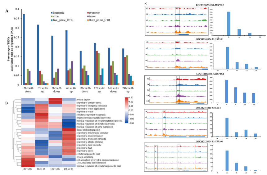 1754040997538992.png 图片2.png