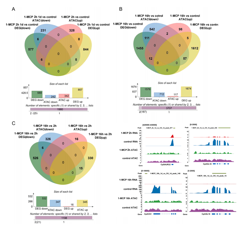 1754041054304208.png 图片4.png